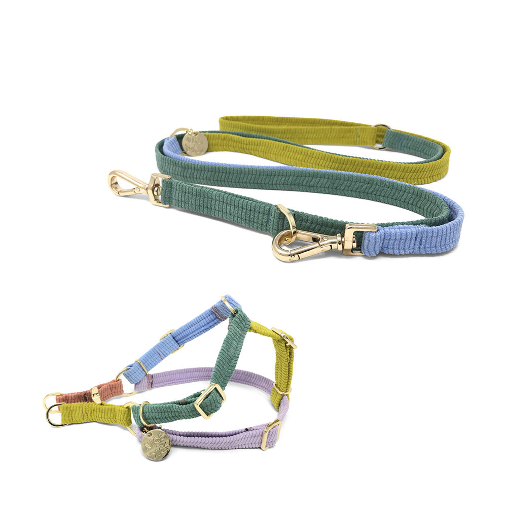 Harness & Leash Bundle