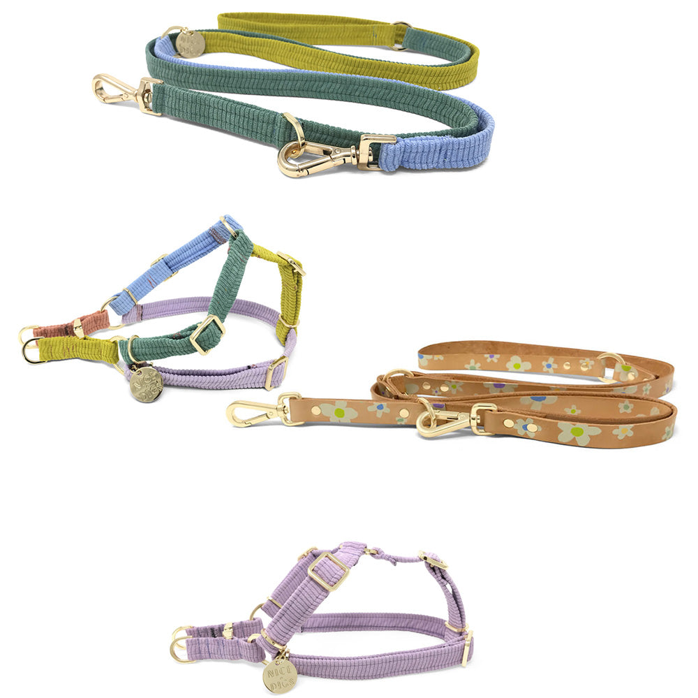 Duo Harness & Leash Bundle