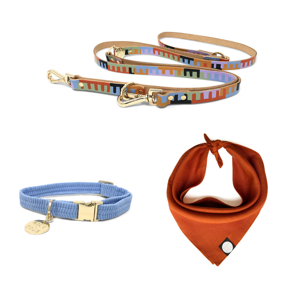 Collar, Bandana & Leash Bundle