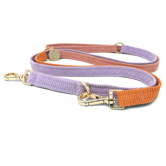 Cord Adjustable Dog Leash - Cutie Pie