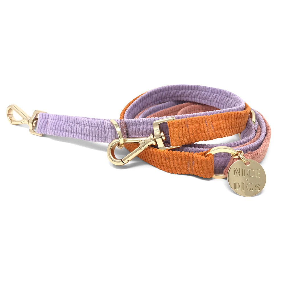 Cord Adjustable Dog Leash - Cutie Pie