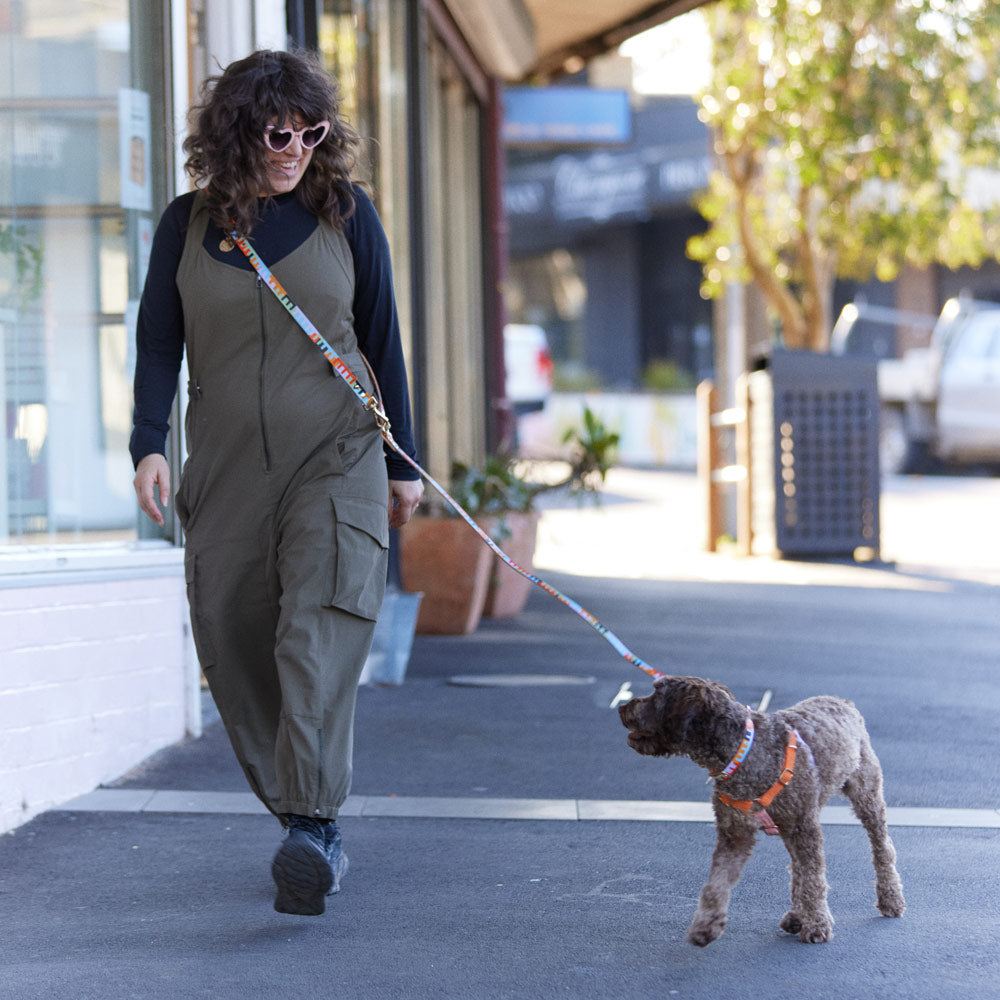 Adjustable Leather Dog Leash - Level Up