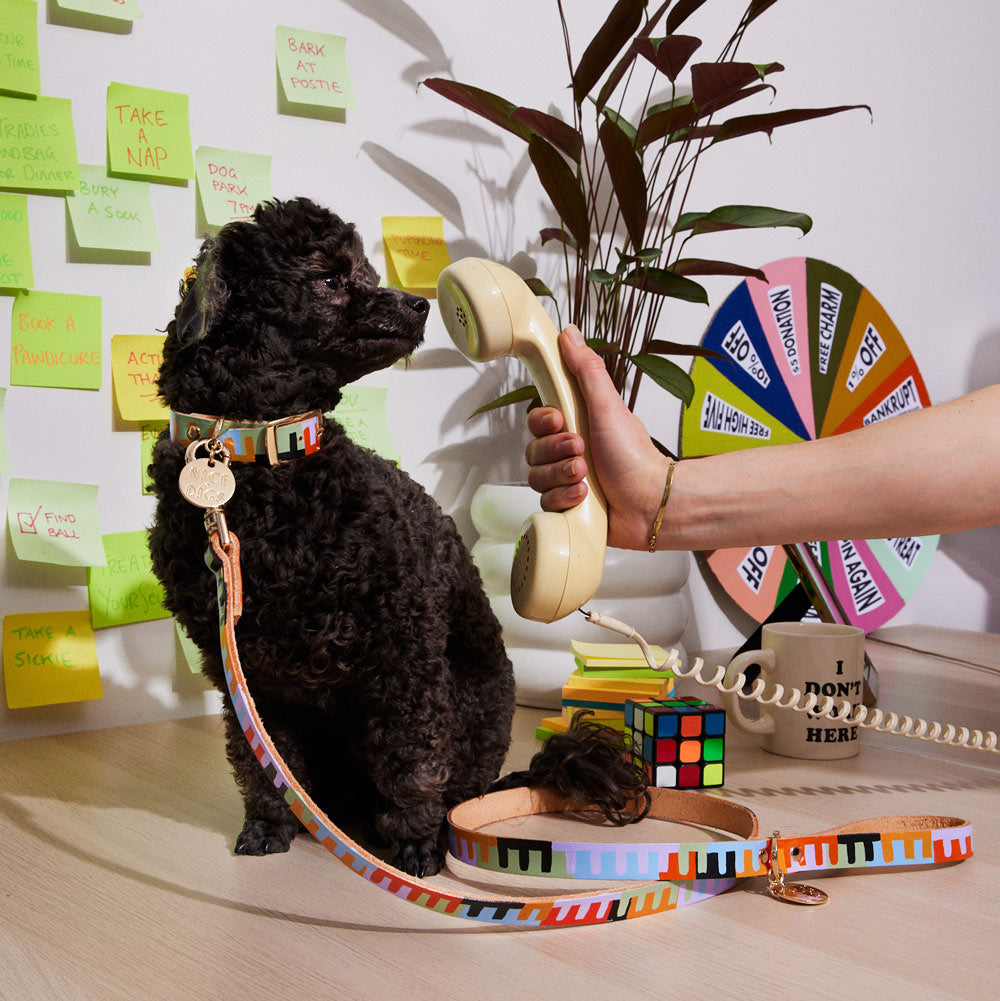 Level Up Leather Dog Leash