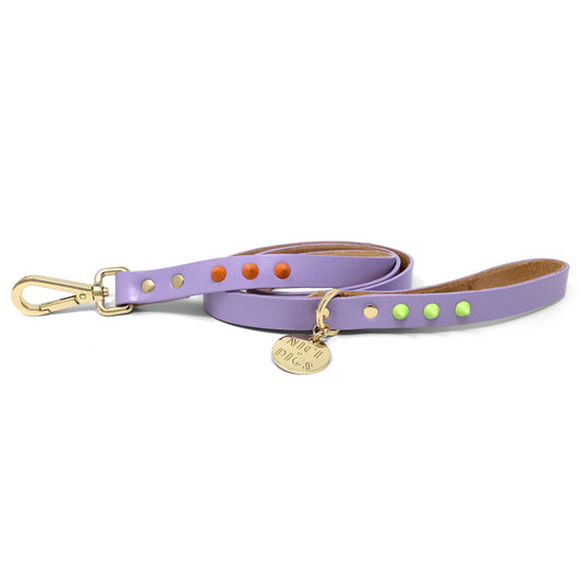 Smooth Spike Leather Dog Leash - Sherbet