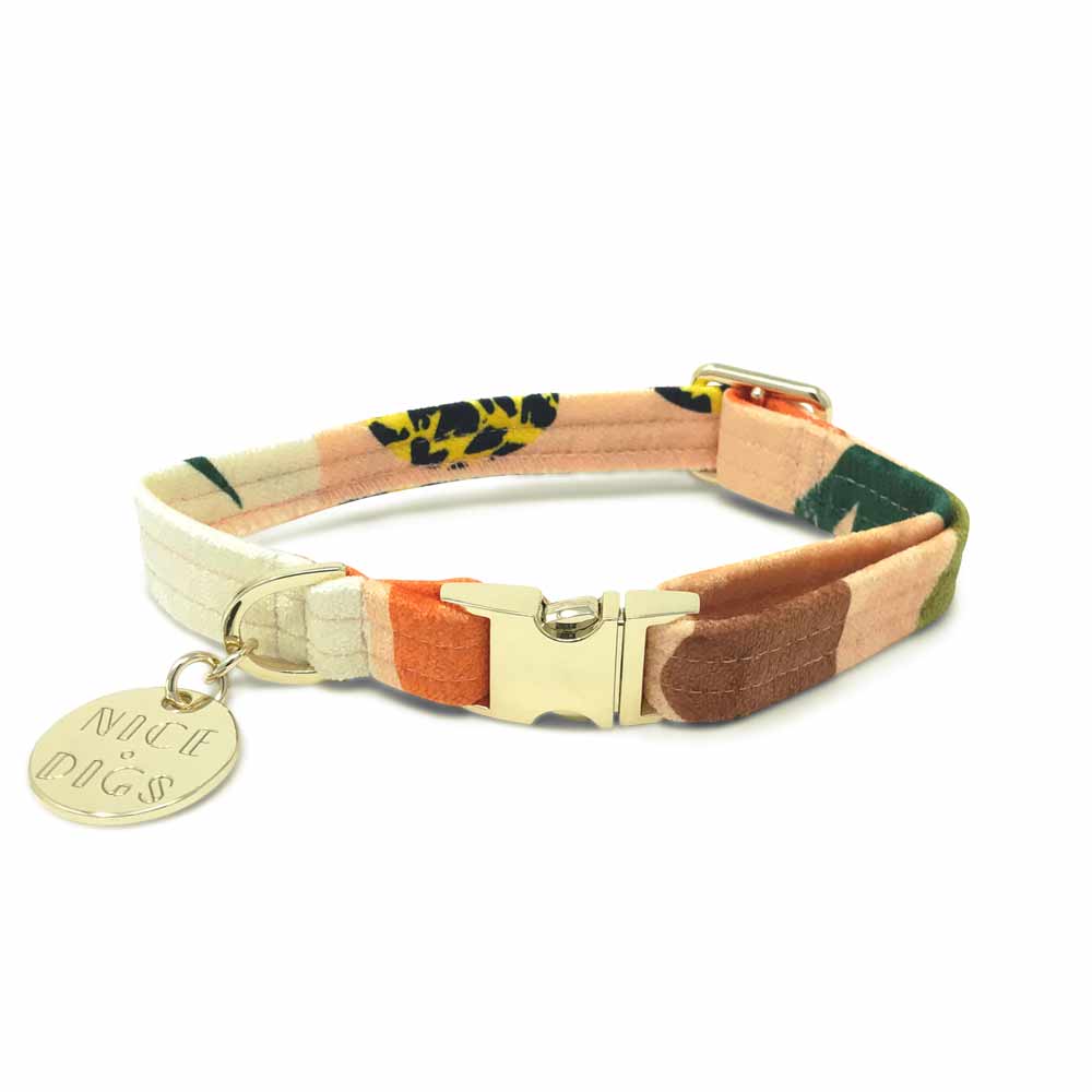 Boulder Canyon Printed Dog Collar - Peach – NICE DIGS