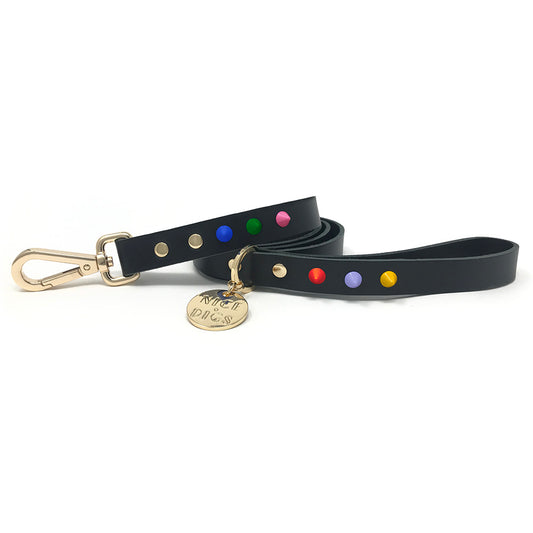 Smooth Spike Leather Dog Leash - Memphis Noir