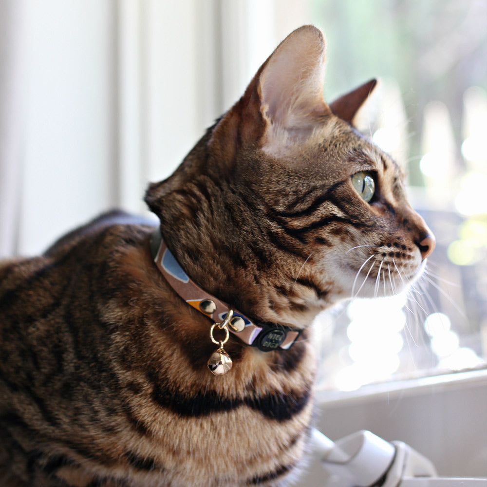 Rock Candy Leather Cat Collar