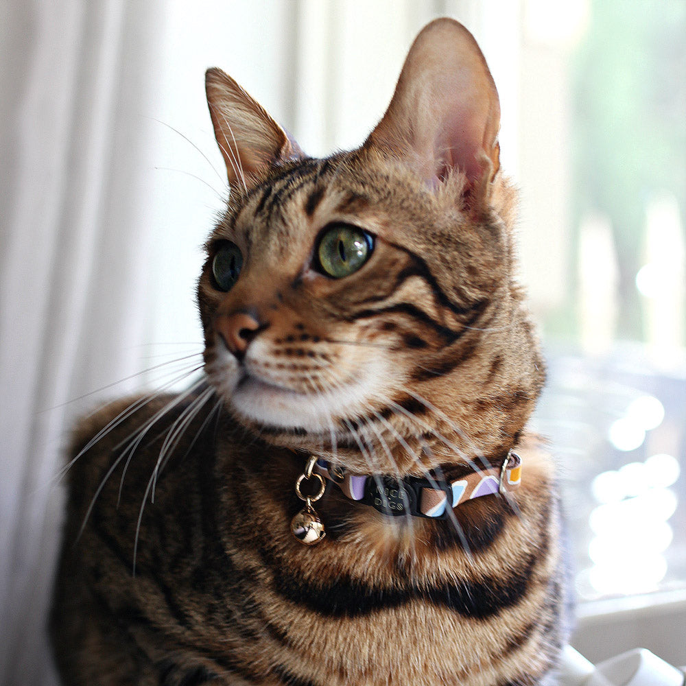 Rock Candy Leather Cat Collar