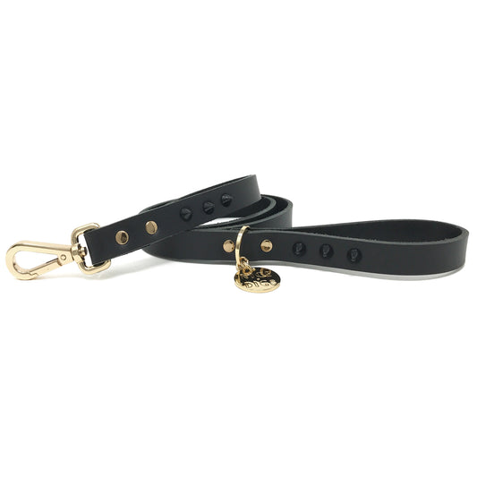 Smooth Spike Leather Dog Leash - Black Noir