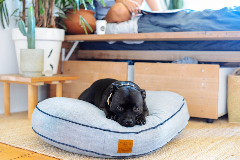 Jean shop dog bed